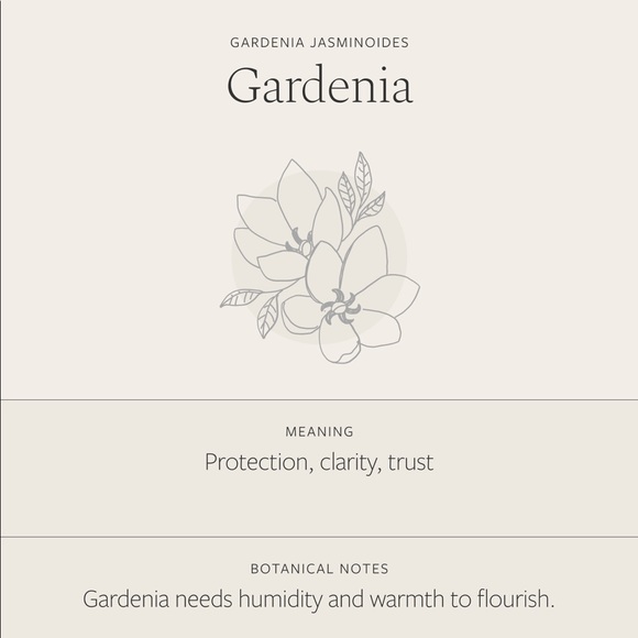 Gardenia Flower Plant Pendant Boho Indie Necklace - Picture 6 of 16